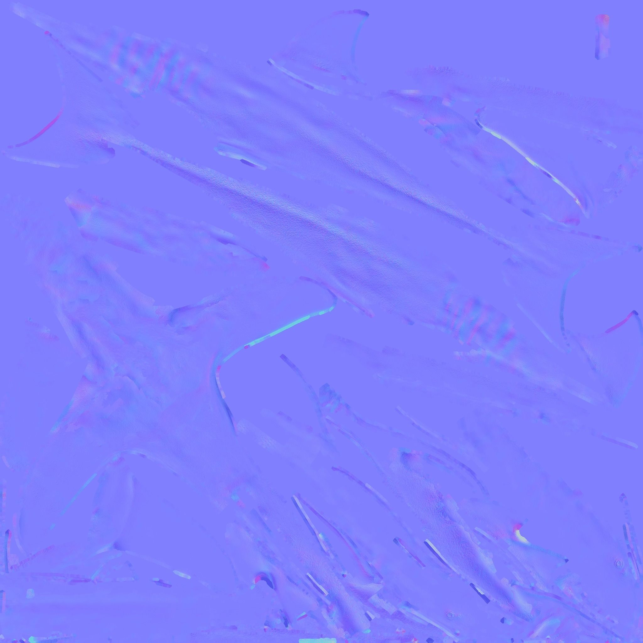 Nurse Shark Free 3D model_9