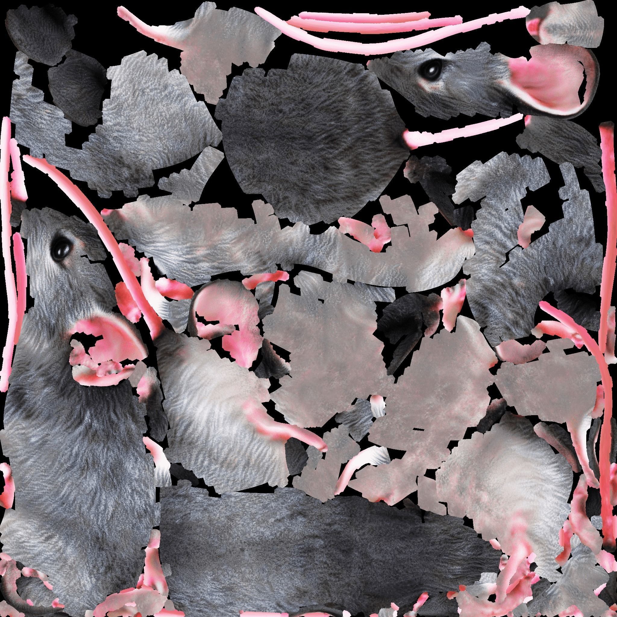 Mouse Free 3D model_8