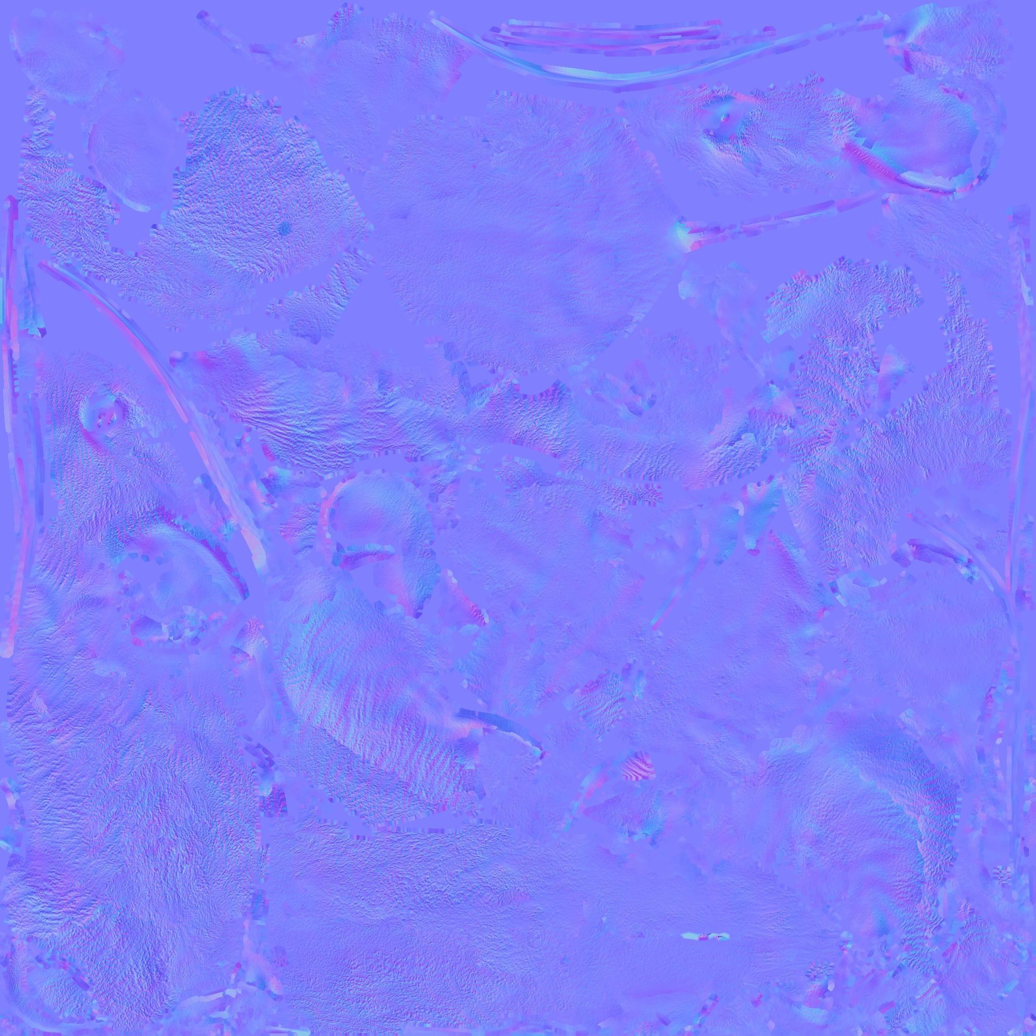 Mouse Free 3D model_9