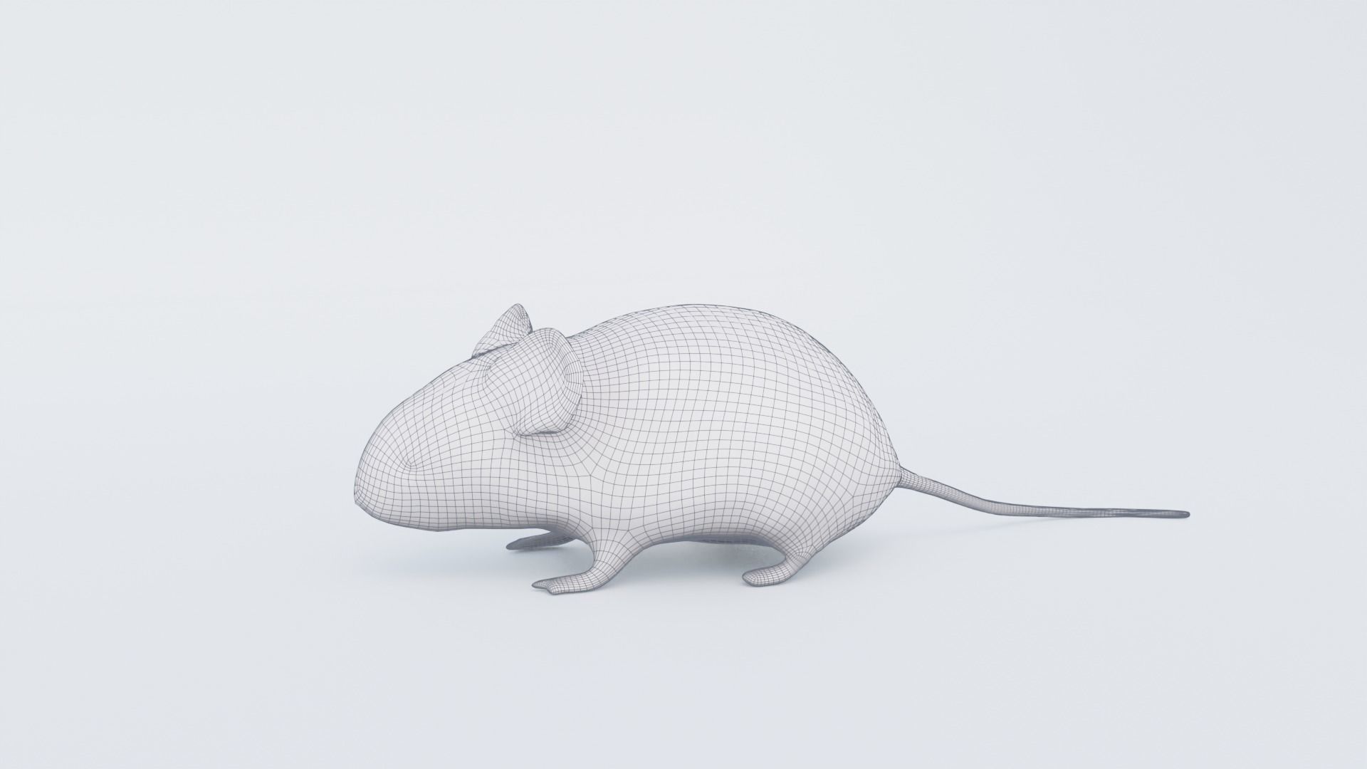Mouse Free 3D model_7