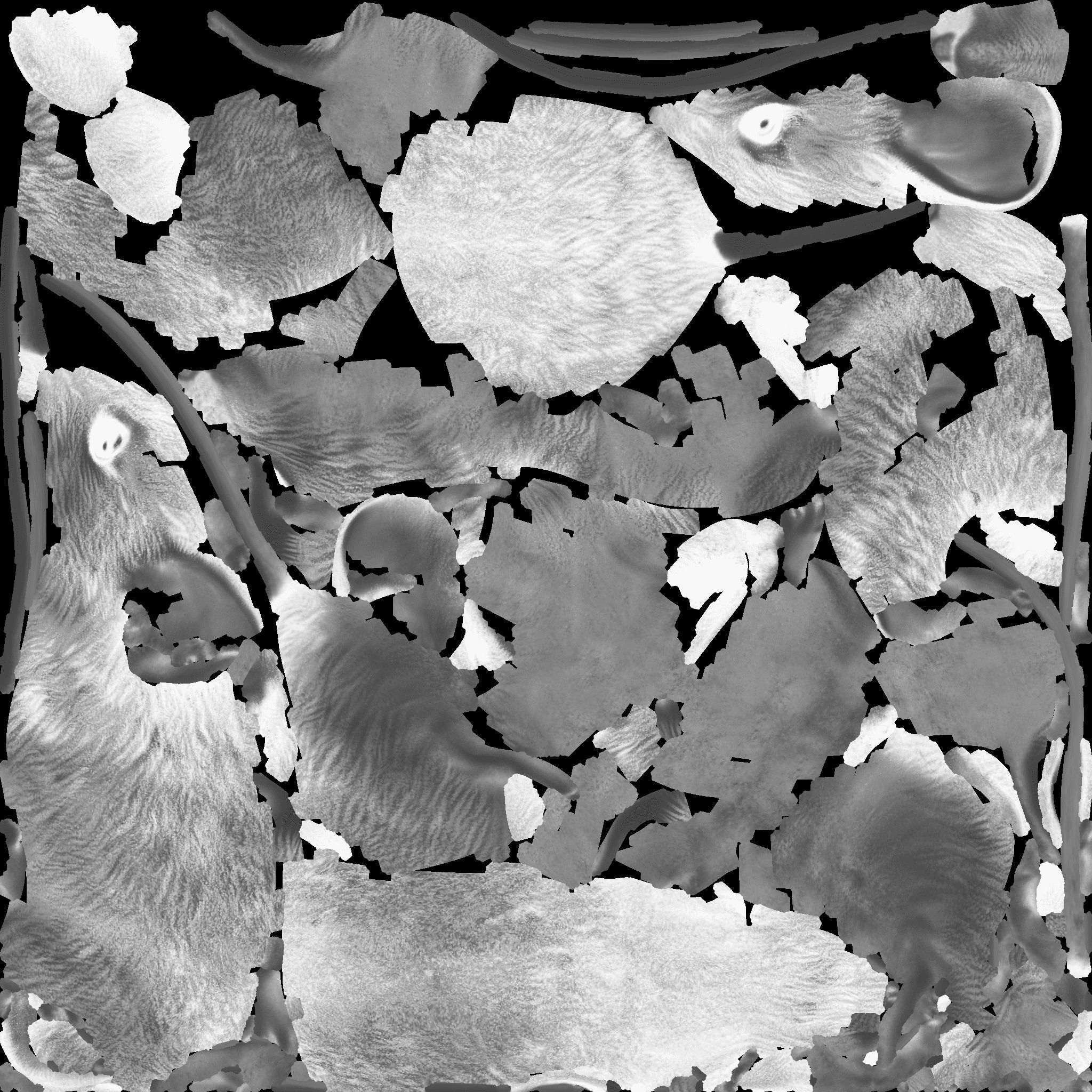 Mouse Free 3D model_10