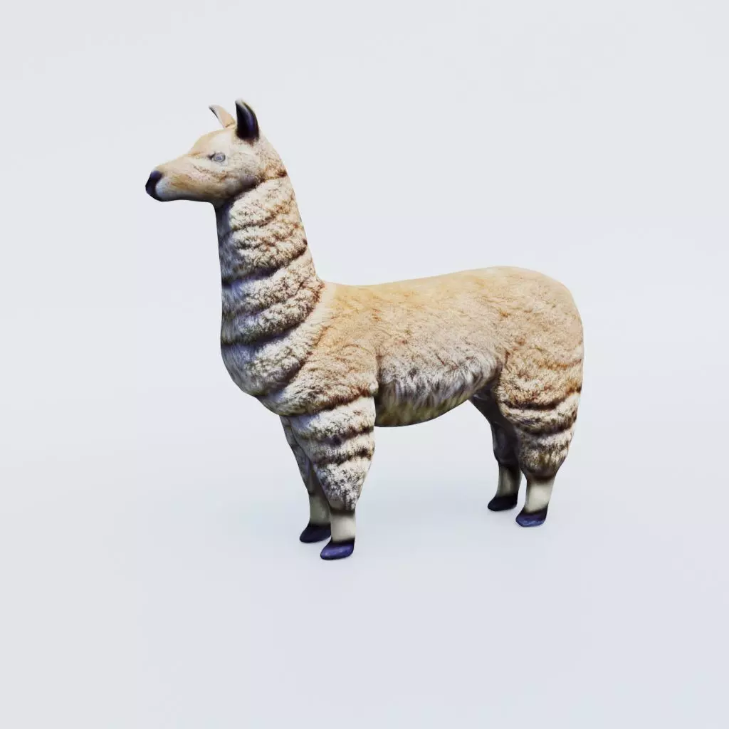 Llama Free 3D model