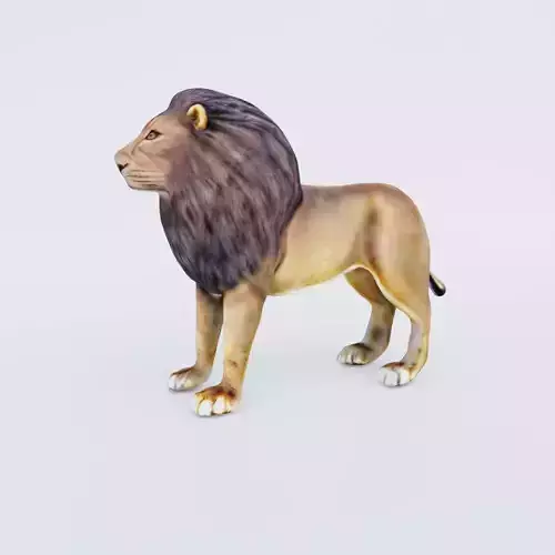 Lion Animal Free 3D model