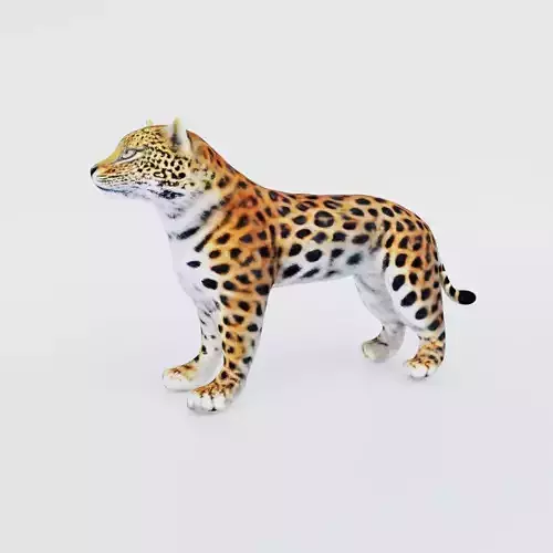 Leopard Free 3D model