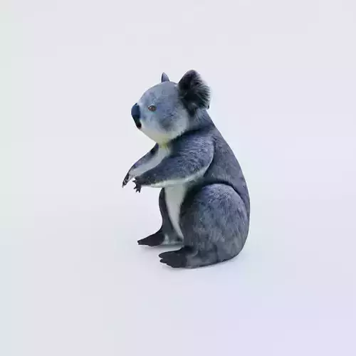 Koala Free 3D model