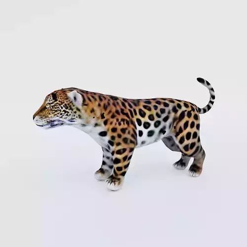 Jaguar