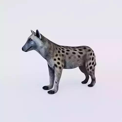 Hyena Free 3D model
