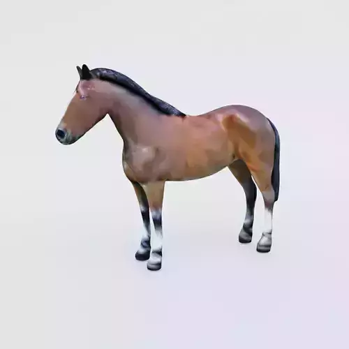 Horse Free 3D model