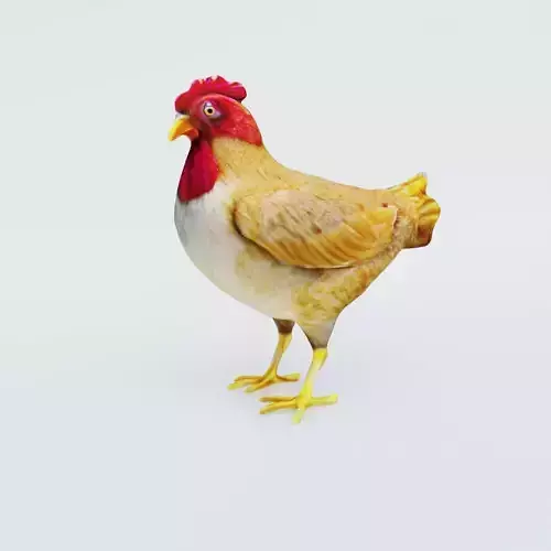 Chicken Free 3D model Chicken Free 3D model