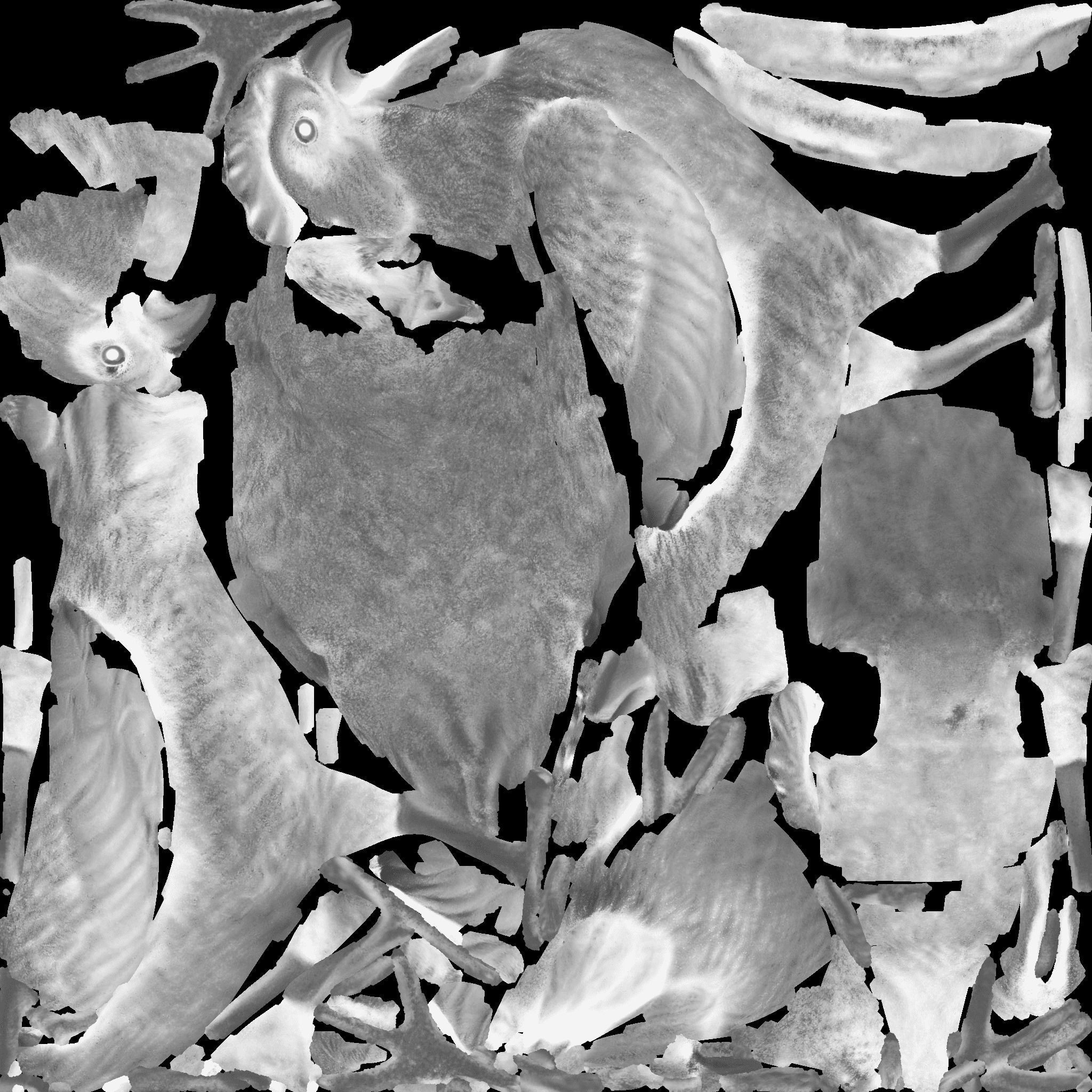 Chicken Free 3D model_10