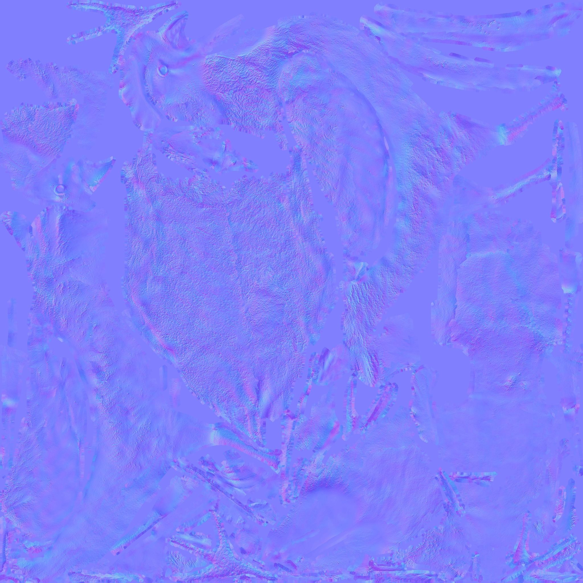 Chicken Free 3D model_9