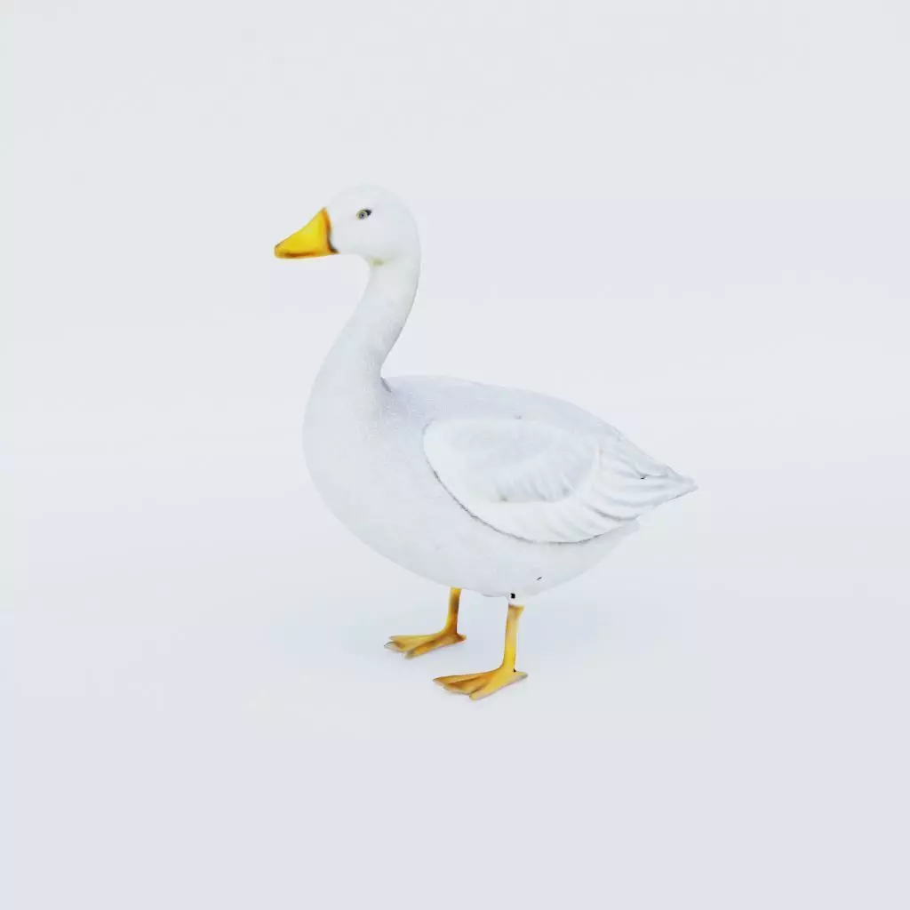 Goose Free 3D model_0
