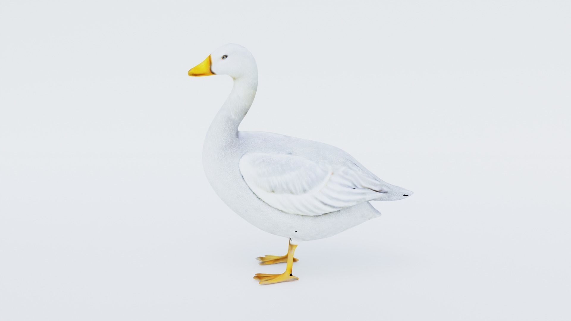 Goose Free 3D model_2