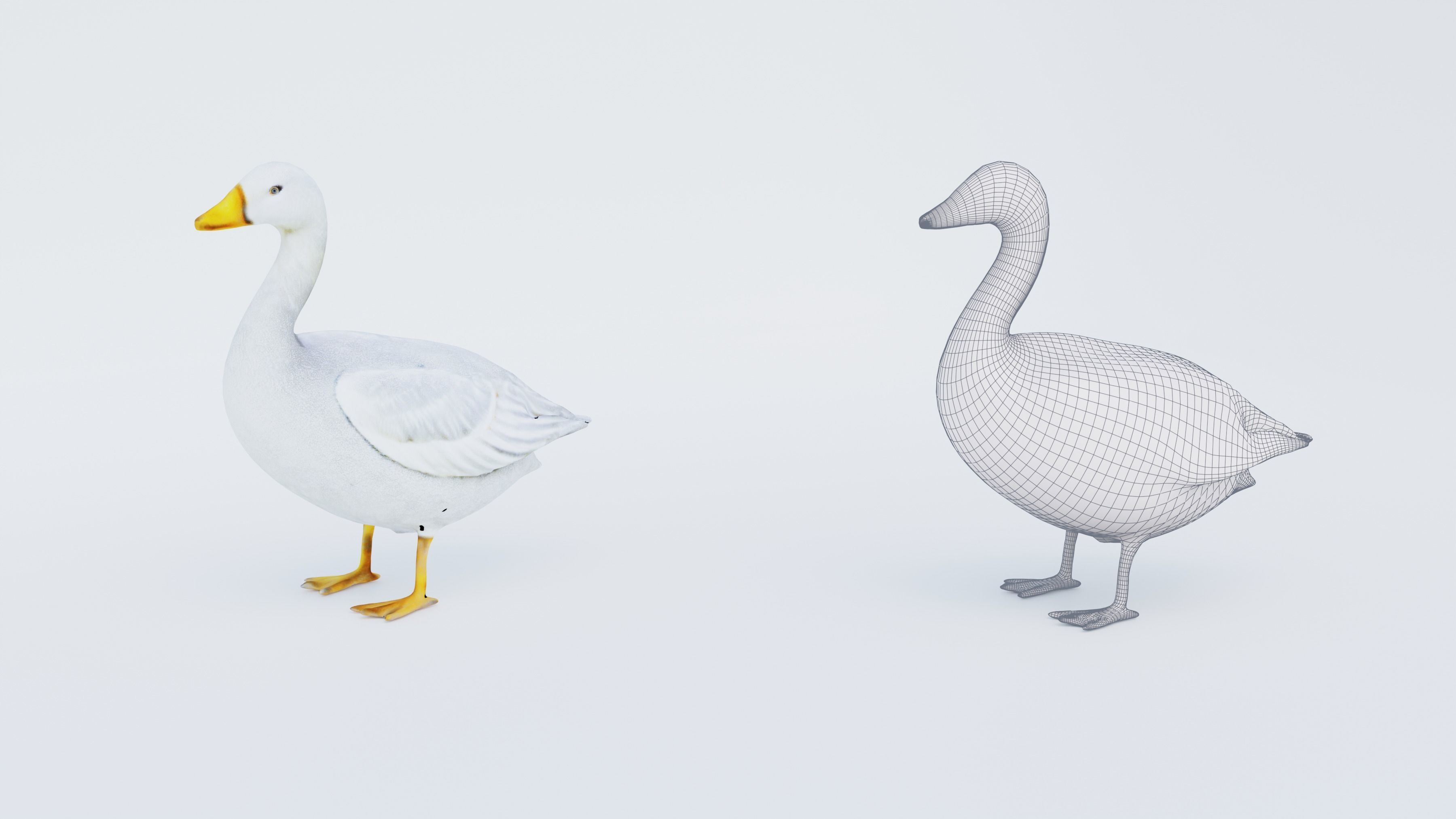 Goose Free 3D model_6