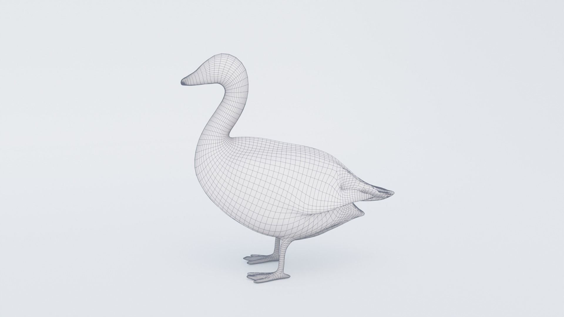 Goose Free 3D model_7