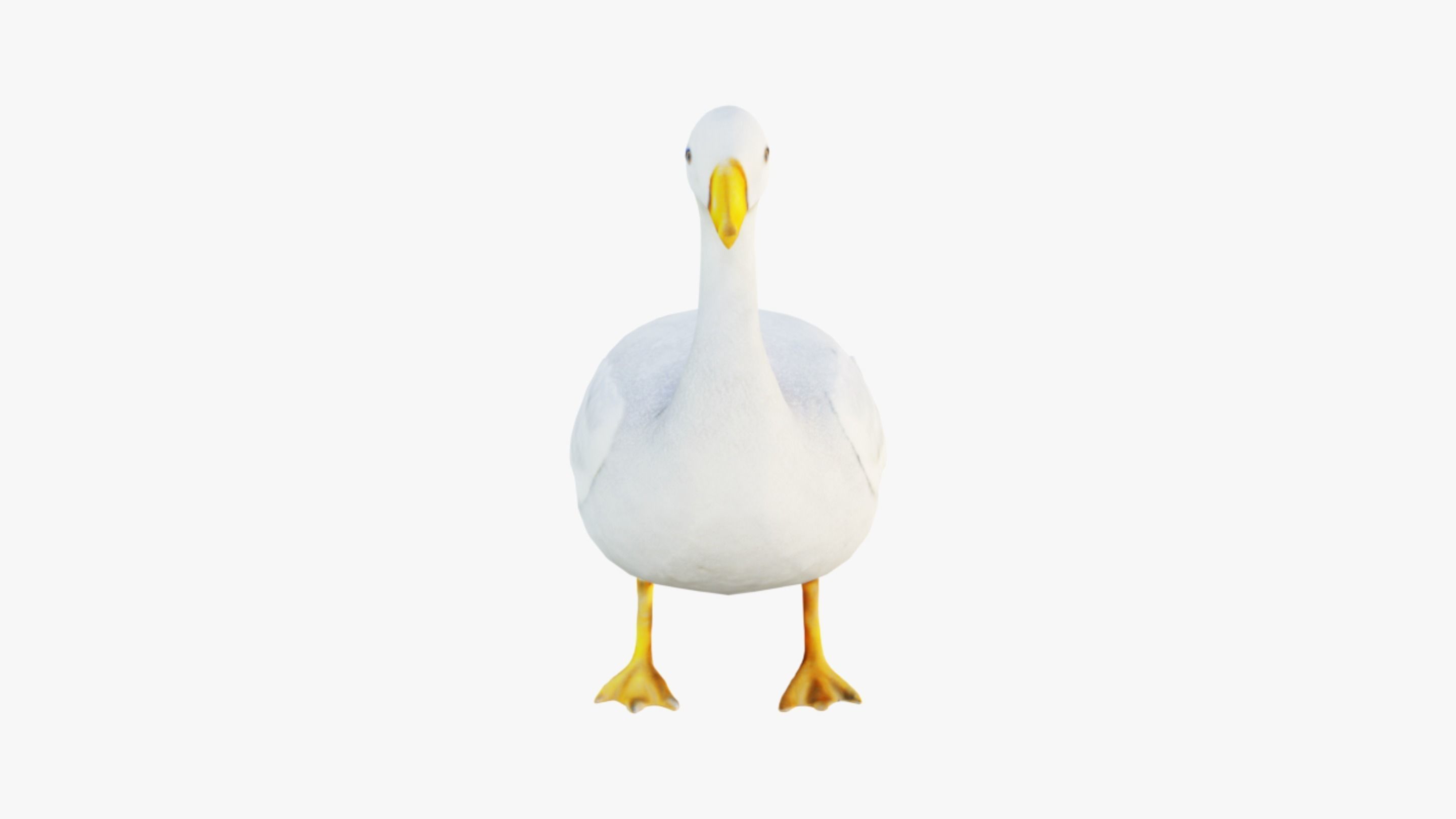 Goose Free 3D model_3