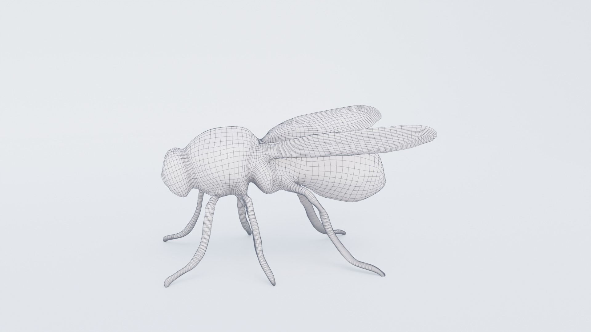 Fly Animal Free 3D model_7