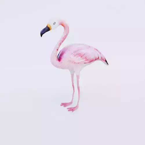 Flamingo Free 3D model