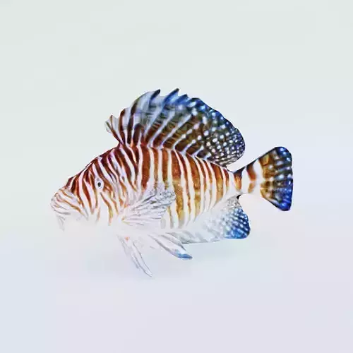 Fish Animal Free 3D model
