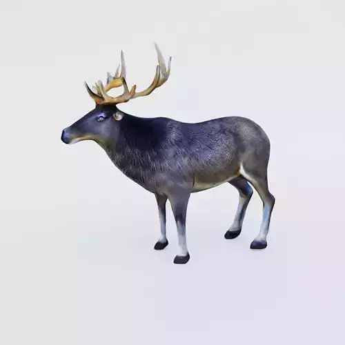 Elk Animal Free 3D model