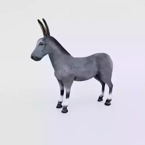 Donkey Free 3D model