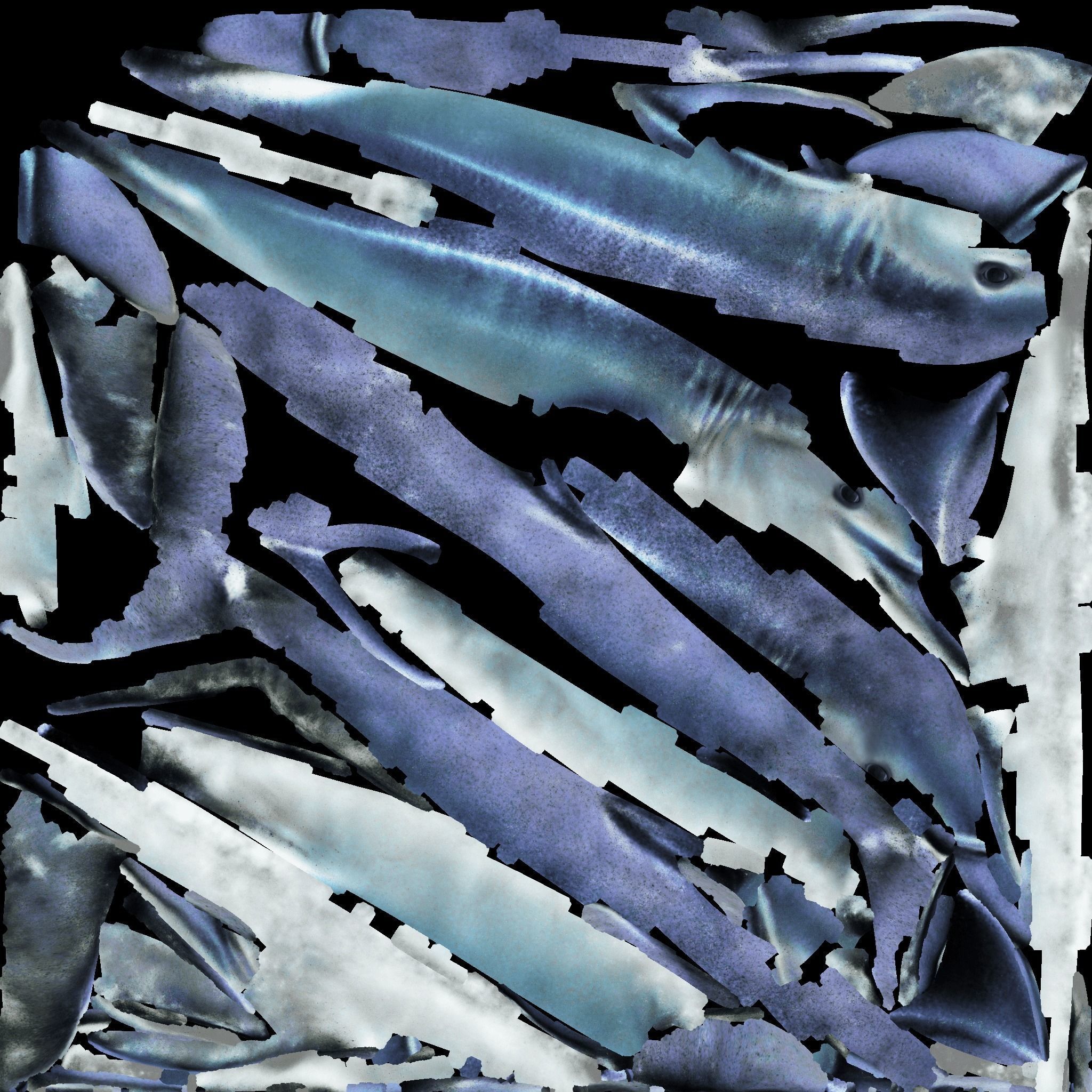 Dolphin Free 3D model_8