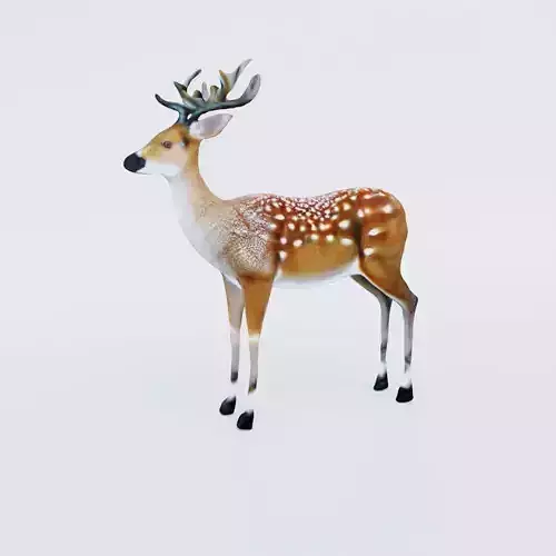 Deer Animal Free 3D model