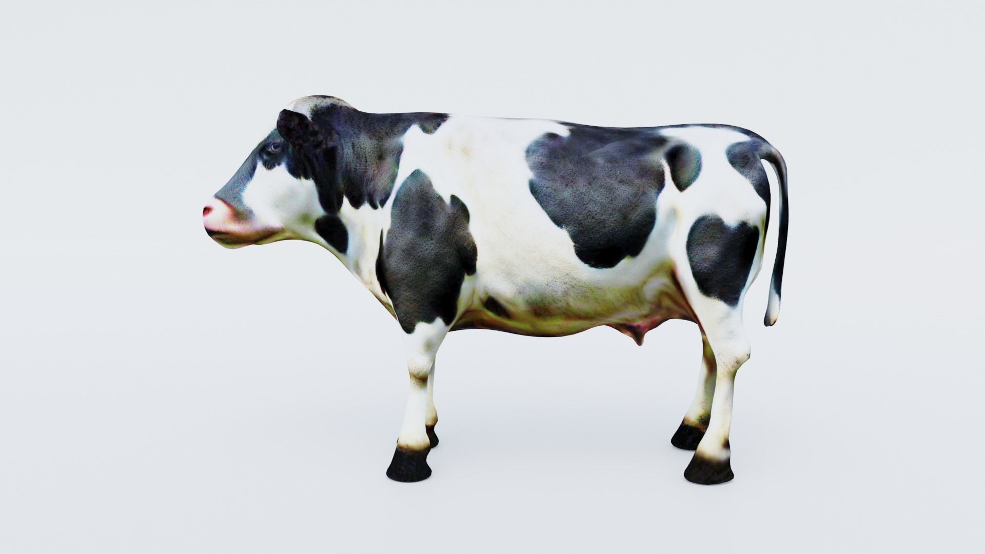 Cow Animal Free 3D model_2