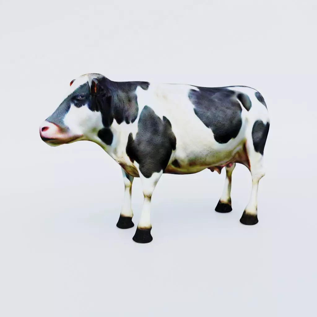 Cow Animal Free 3D model_0