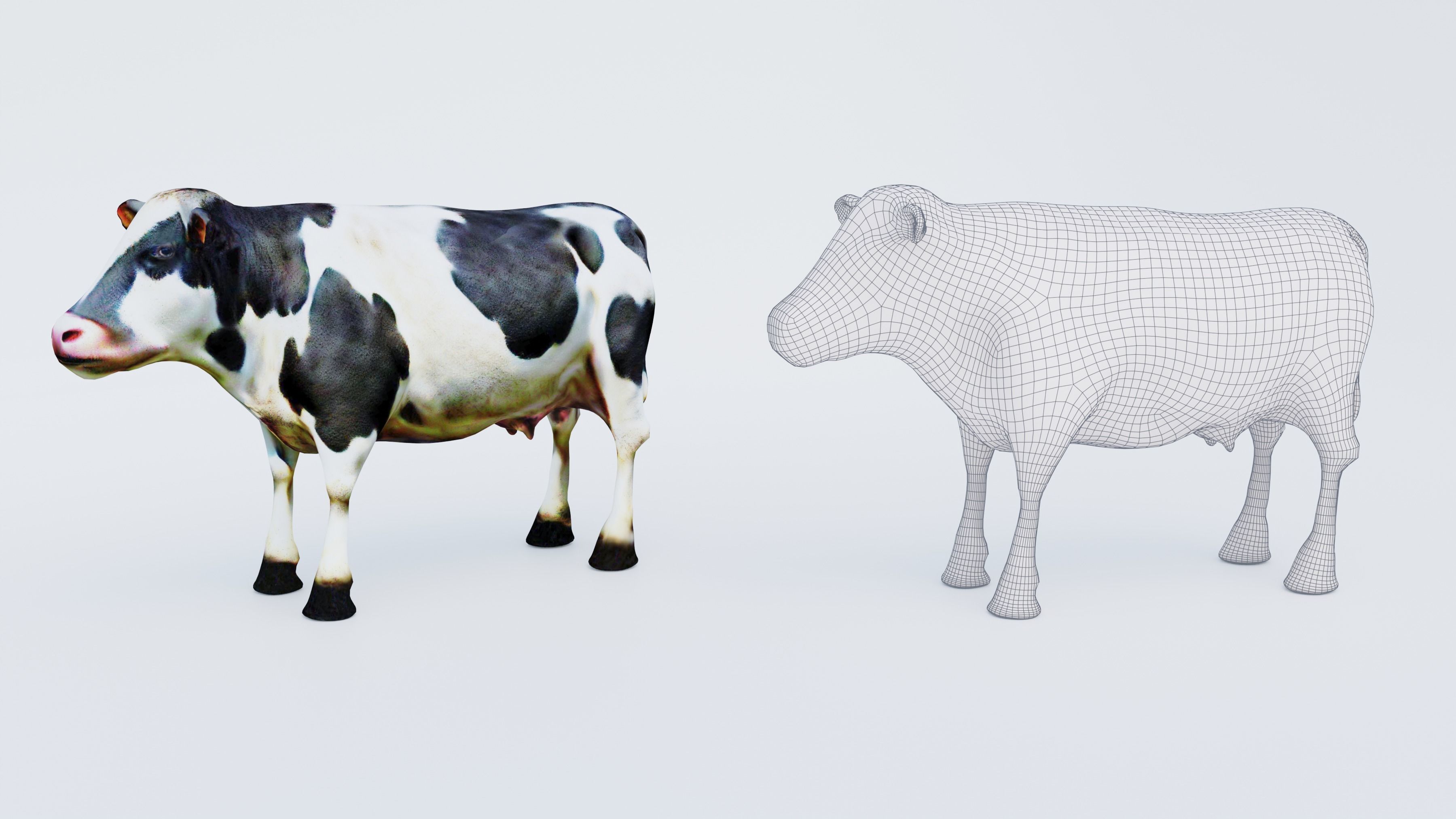 Cow Animal Free 3D model_6