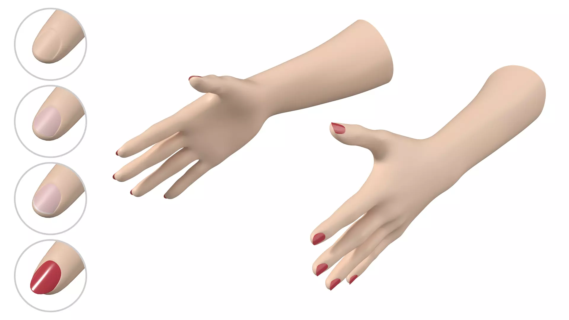 Female Hands Gesture 02 Base Mesh 3D model