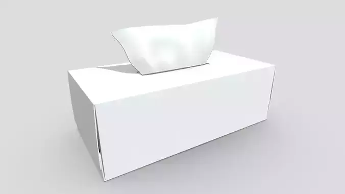 Tissue Box 2