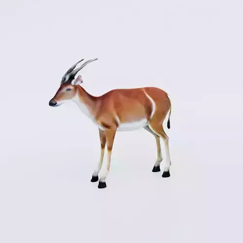 Antelope Free 3D model