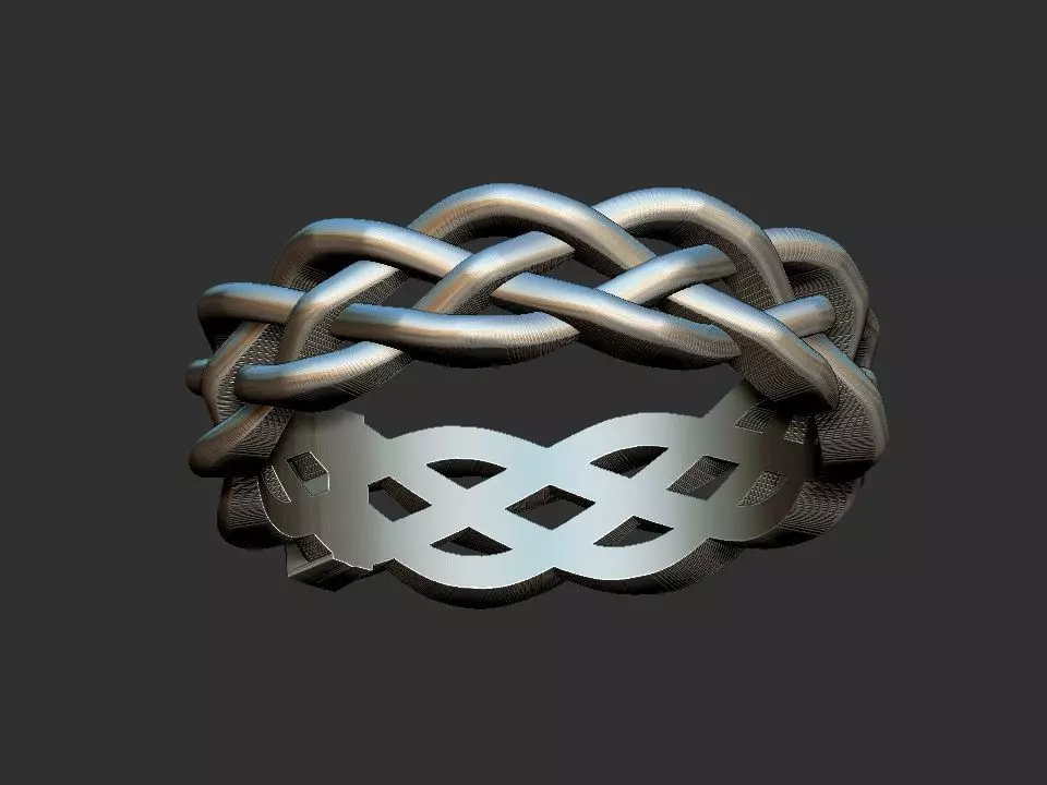 Braid Ring 3D print model
