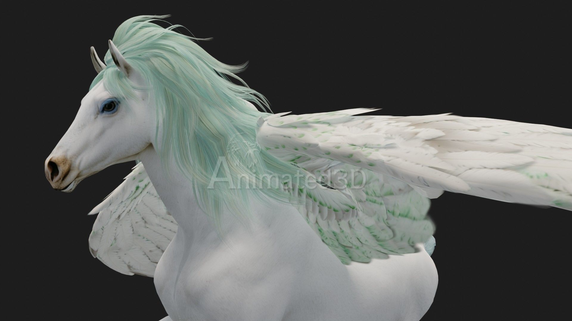 Pegasus A3 3D model_4