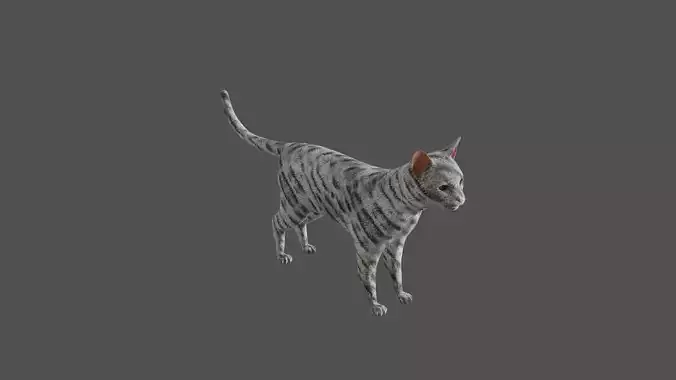 Cat realistic PBR