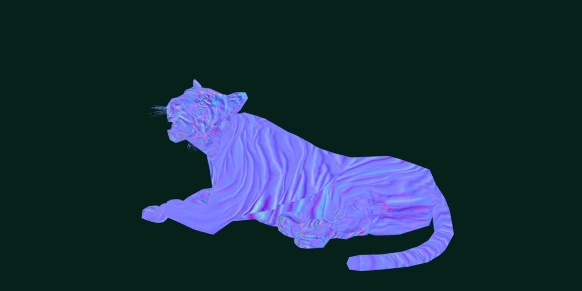 Young South China Tiger Low-poly 3D model_24