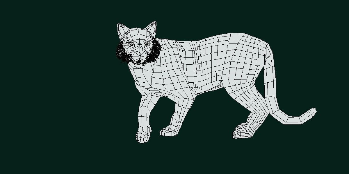 Young South China Tiger Low-poly 3D model_13