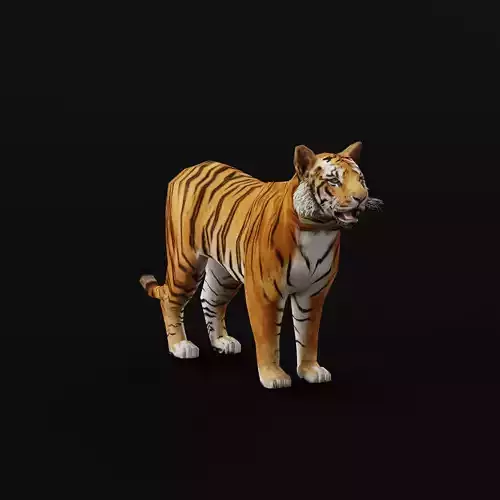 Young South China Tiger Low-poly 3D model