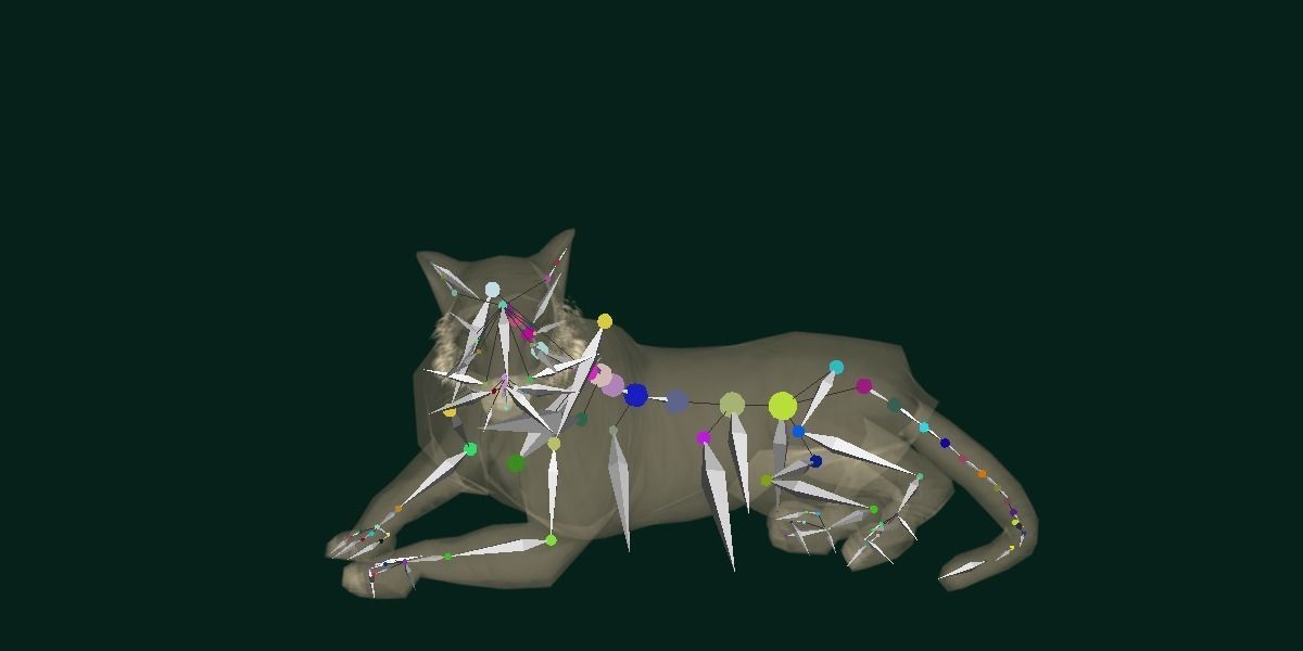 Young South China Tiger Low-poly 3D model_21