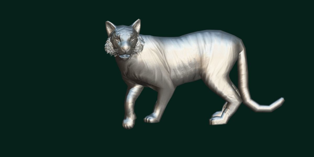 Young South China Tiger Low-poly 3D model_12