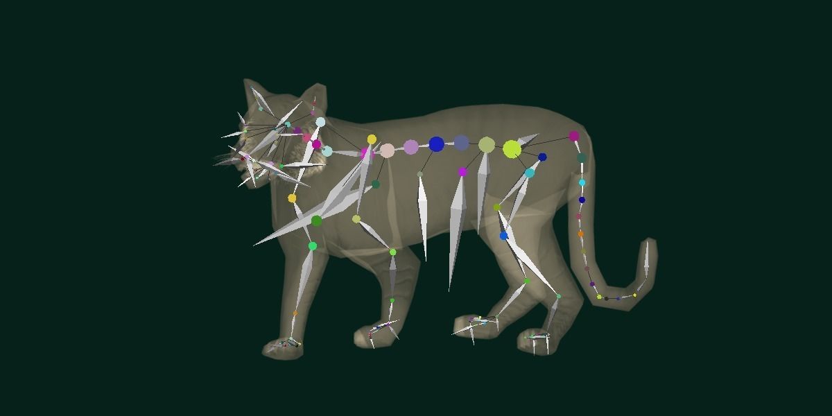 Young South China Tiger Low-poly 3D model_20