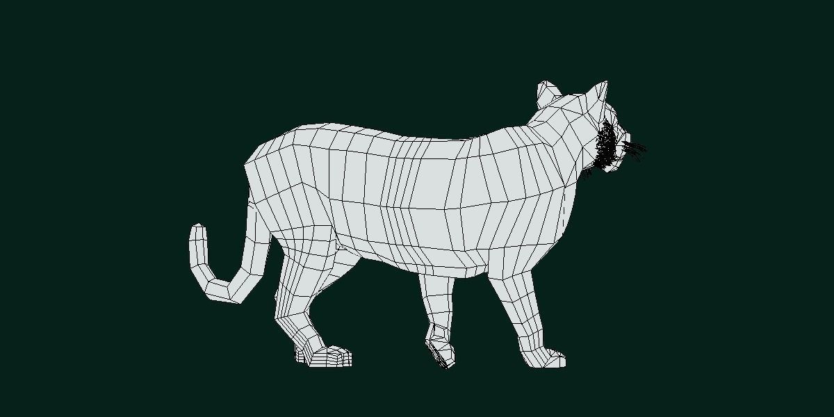 Young South China Tiger Low-poly 3D model_14