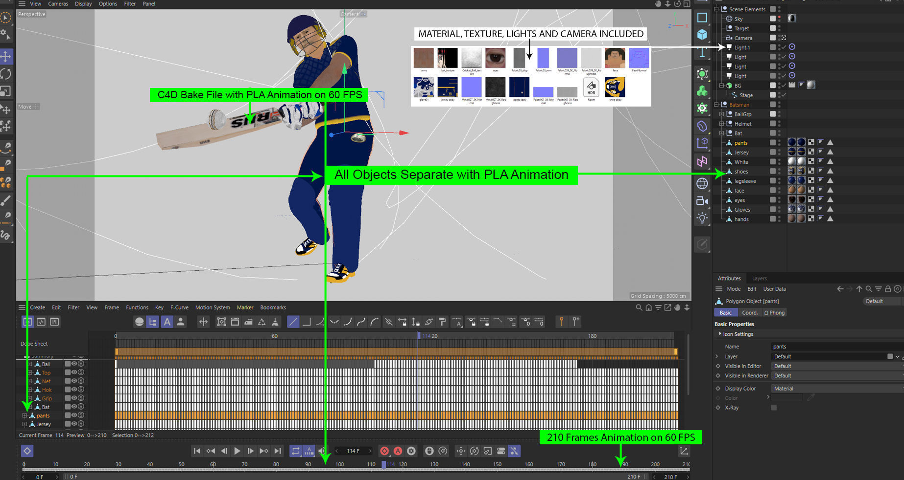 Cricket Batsman Animated 3D model_4