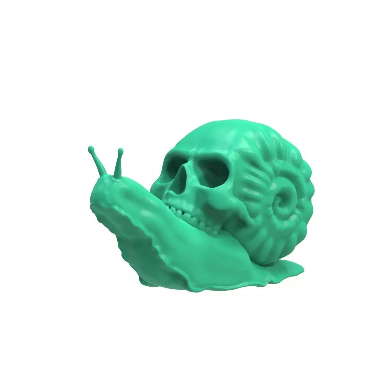 Snail Skull 3D print model