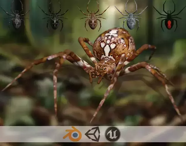 Arachnid Model The 3D Spider Masterpiece   Low-poly 3D model