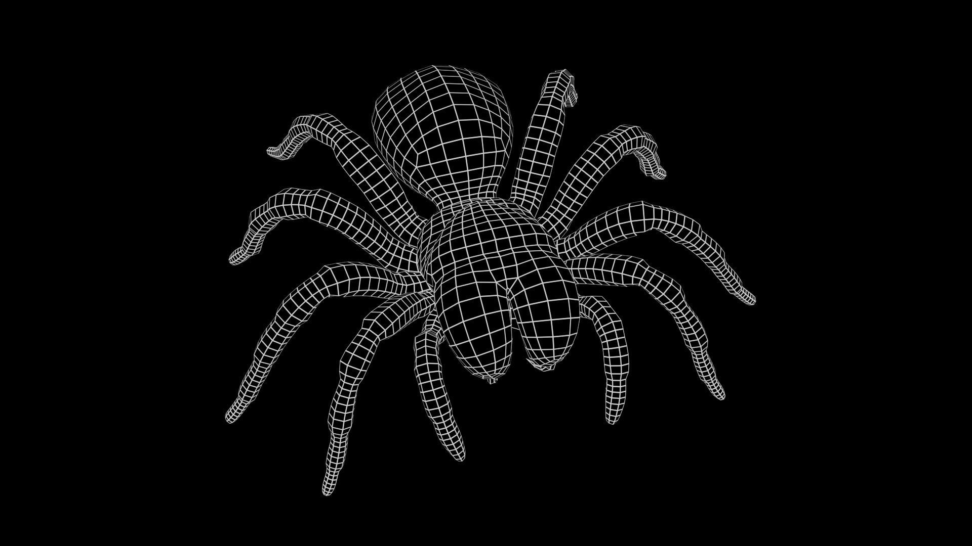 Mouse Spider Low-poly 3D model_10