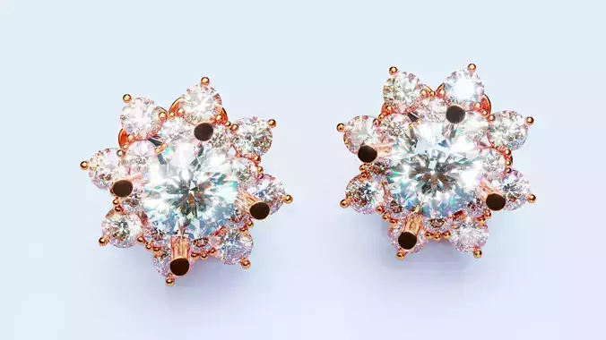 Stud Earrings 2