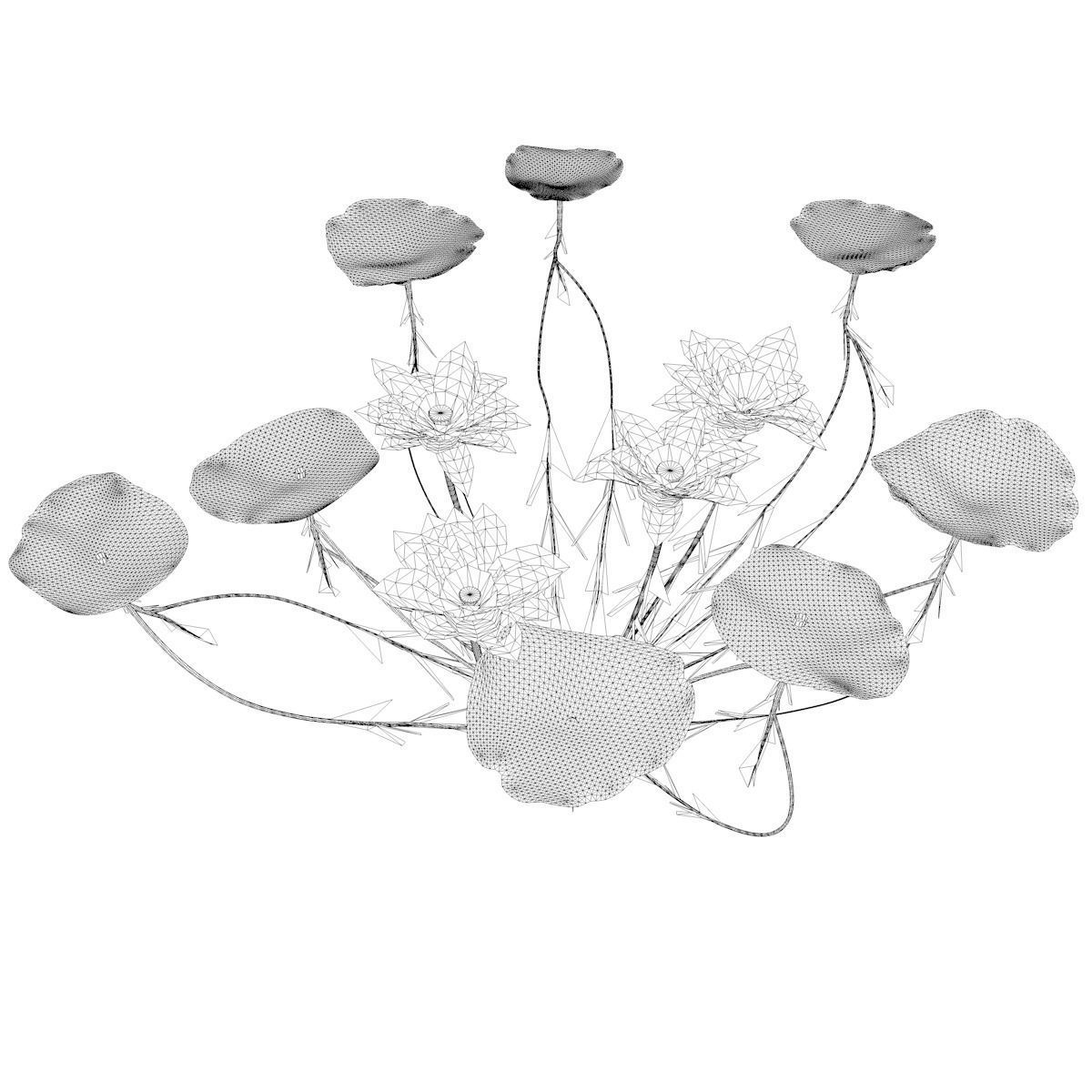 Lotus Flower - 02 - 3D model_2