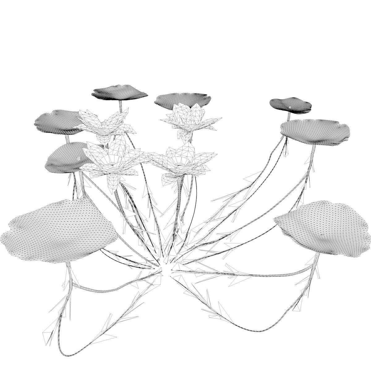 Lotus Flower - 04 - 3D model_2